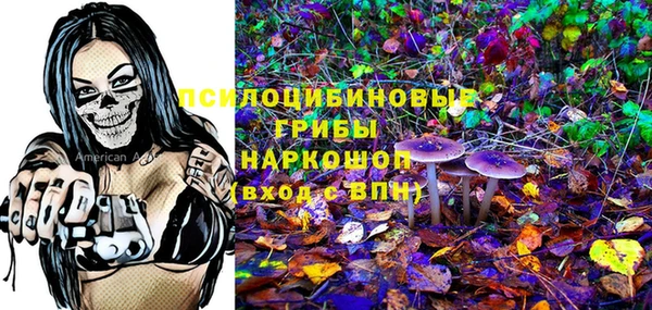 ПСИЛОЦИБИНОВЫЕ ГРИБЫ Лабытнанги