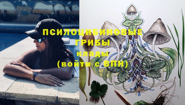 ПСИЛОЦИБИНОВЫЕ ГРИБЫ Лабытнанги