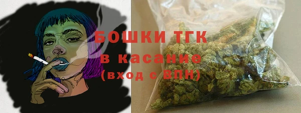 ПСИЛОЦИБИНОВЫЕ ГРИБЫ Лабытнанги