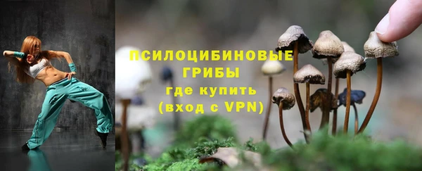 ПСИЛОЦИБИНОВЫЕ ГРИБЫ Лабытнанги