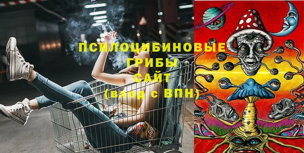 экстази Ладушкин