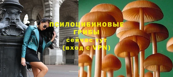 бутират Лагань