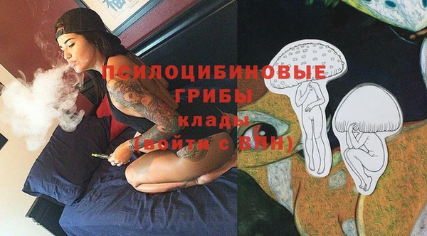 ПСИЛОЦИБИНОВЫЕ ГРИБЫ Лабытнанги
