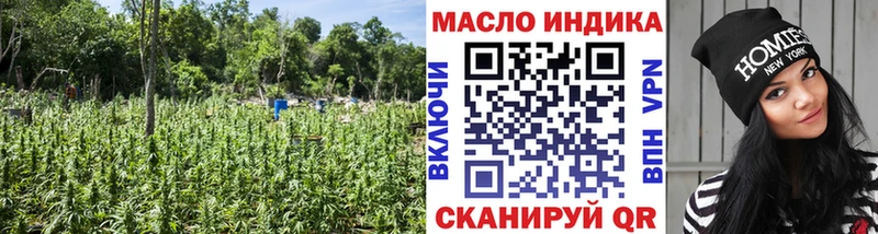ТГК Wax  Купить закладки  Сусуман 